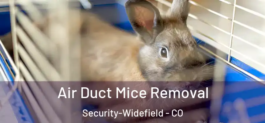 Air Duct Mice Removal Security-Widefield - CO