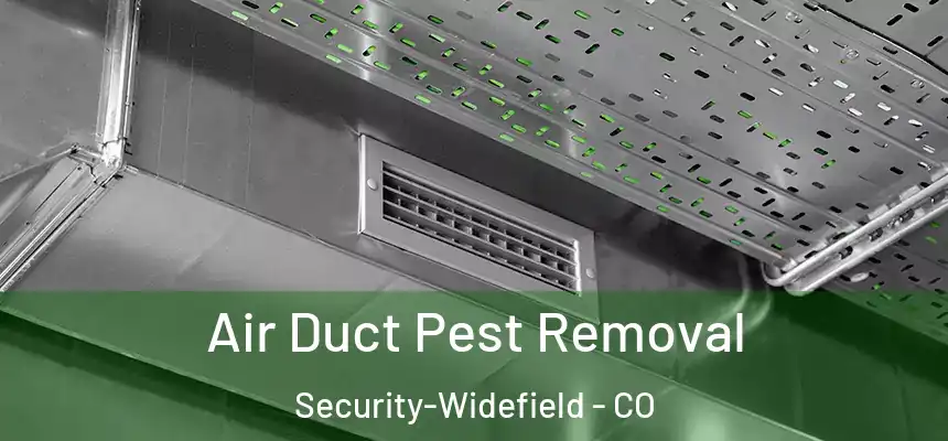 Air Duct Pest Removal Security-Widefield - CO