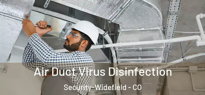  Air Duct Virus Disinfection Security-Widefield - CO