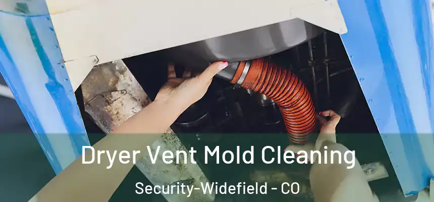  Dryer Vent Mold Cleaning Security-Widefield - CO