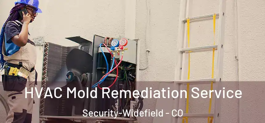  HVAC Mold Remediation Service Security-Widefield - CO
