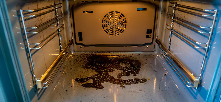 Our Dryer Vent Mold Cleaning Services in Security-Widefield, CO