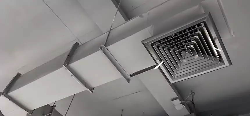 Our Pest Removal From Ducts Services in Security-Widefield, CO