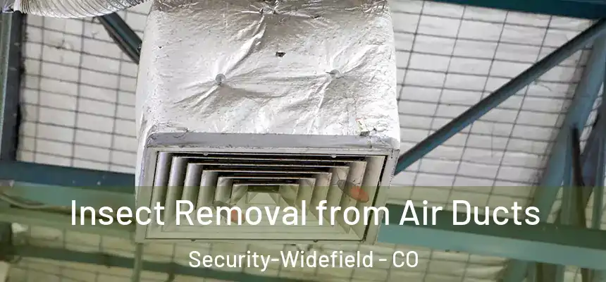  Insect Removal from Air Ducts Security-Widefield - CO