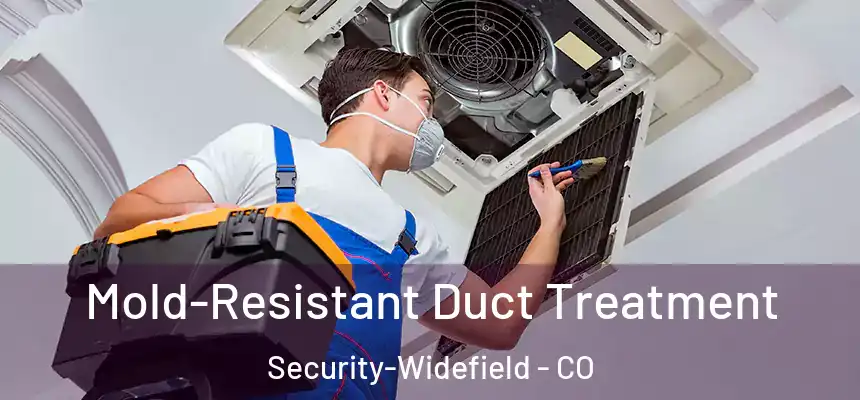  Mold-Resistant Duct Treatment Security-Widefield - CO