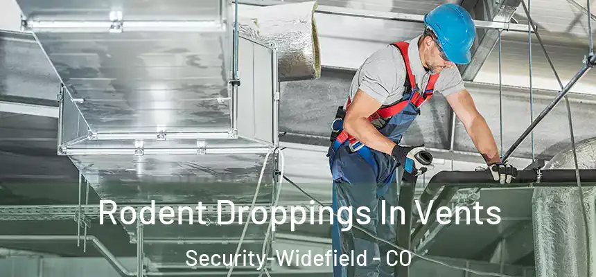 Rodent Droppings In Vents Security-Widefield - CO