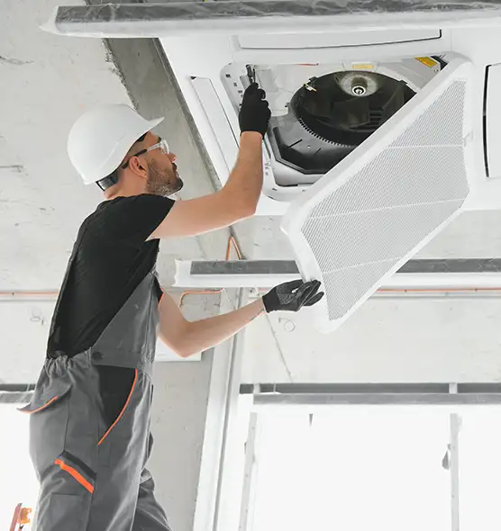 About Air Duct Rodent Removal in Security-Widefield, CO