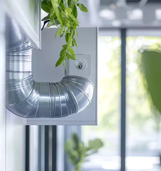 Professional Eco-Friendly Duct Cleaning Services in Security-Widefield, CO