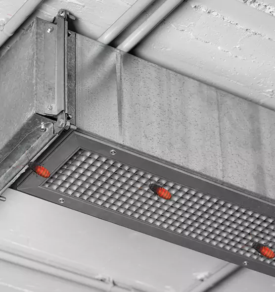 Affordable Insect Removal from Air Ducts in Security-Widefield, CO